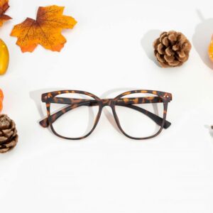 Tortoiseshell glasses surrounded by fall decorations like gourds and pinecones on a white background.